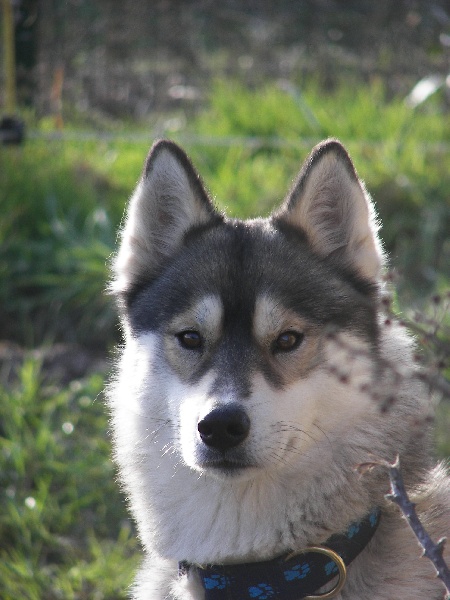 Ushka de L'Igloo des Sables