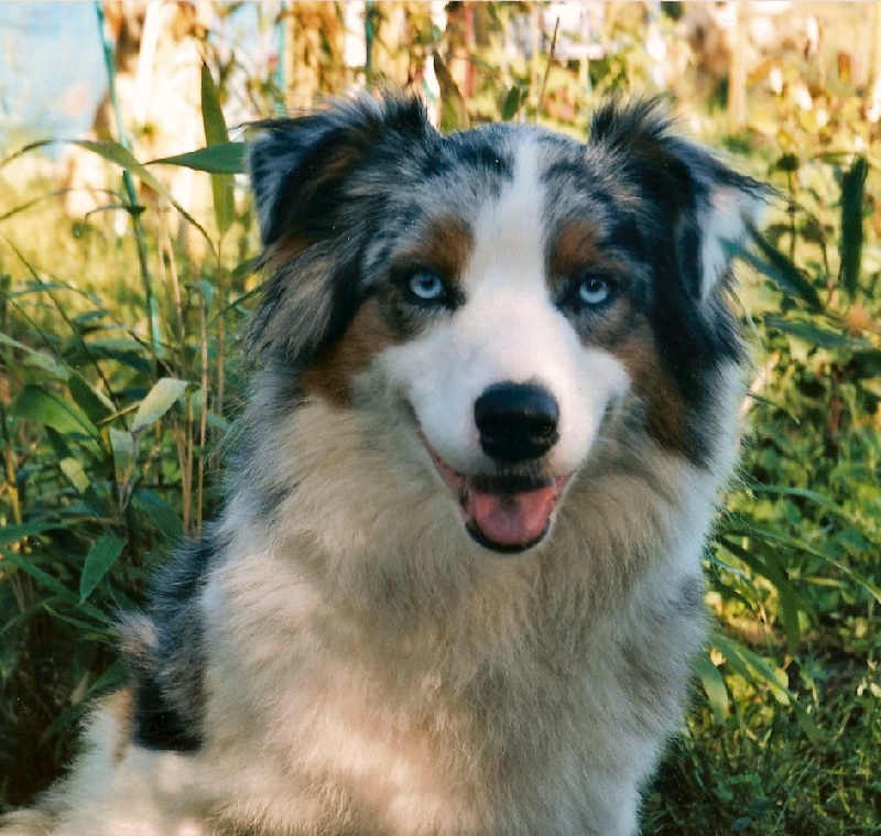 Regate de L'Igloo des Sables