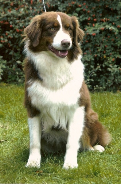 Roswell de L'Igloo des Sables