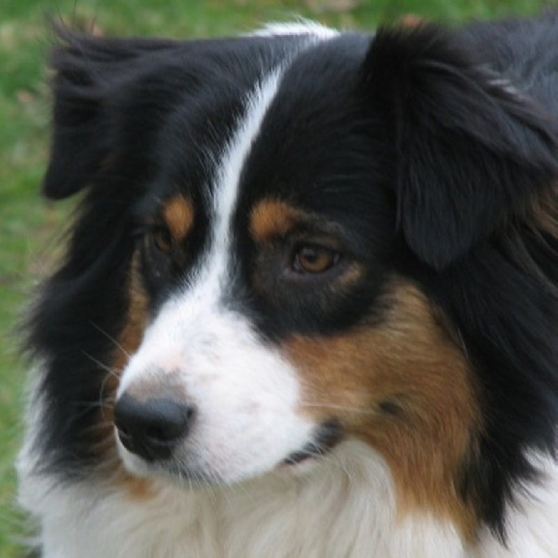 Vespa dream de L'Igloo des Sables