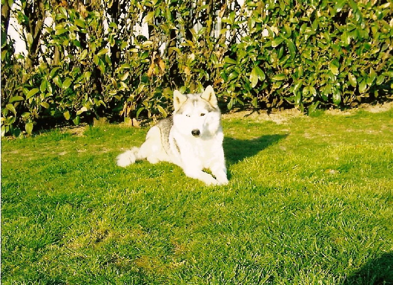 Priska de L'Igloo des Sables